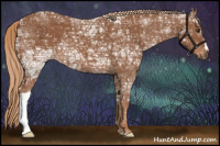 Horse Color:Chestnut Ice 
