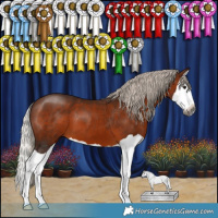Horse Color:Gray Silver Bay Splash