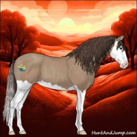 Horse Color:Classic Champagne Splash