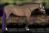 Horse Color:Painted Brown Dun Sabino 