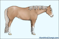 Horse Color:Silver Black Pearl Sabino