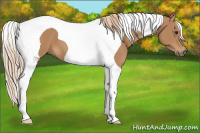 Horse Color:Chestnut Tobiano