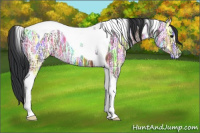 Horse Color:Brown Ice Tobiano