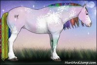 Horse Color:Painted Watercolor White Spotted Buckskin 
