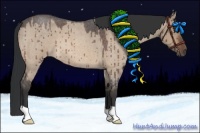 Horse Color:Brown Roan Dun 