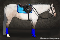 Horse Color:Bay Roan Dun Rabicano Brindle 