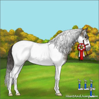 Horse Color:Smoky Grullo Sabino Splash Tobiano Frame 