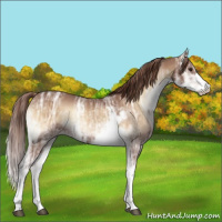 Horse Color:Red Onyx Ice Sabino 