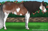 Horse Color:Brown Splash 