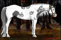 Horse Color:Blue Roan Splash Tobiano