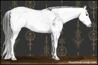 Horse Color:Black Sabino Rabicano 