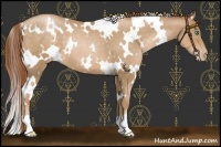 Horse Color:White Spotted Smoky Black Pearl