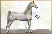 Horse Color:Nacre Chocolate Palomino Ice Roan Dun Sabino Rabicano 