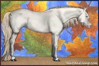 Horse Color:Perlino Roan Dun