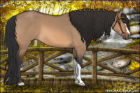 Horse Color:Bay Dun