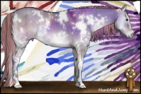 Horse Color:Painted White Spotted Chocolate Palomino Onyx Brindle