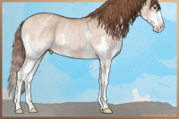 Horse Color:Bay Roan Dun Sabino Splash Appaloosa Rabicano 