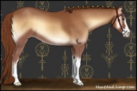 Horse Color:Red Onyx Sabino