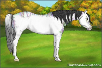 Horse Color:Black Ice Sabino Splash Frame