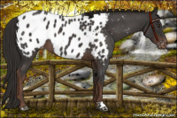 Horse Color:Liver Red Roan Blanket 