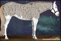 Horse Color:Perlino Ice Sabino Splash 