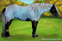 Horse Color:ERROR: UNKNOWN ANOMALY