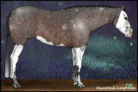 Horse Color:Brown Ice Splash