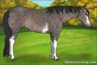 Horse Color:White Spotted Brown Ice Mushroom