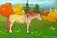 Horse Color:Painted Palomino Sabino 