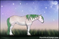 Horse Color:Painted Watercolor White Spotted Brown Chinchilla Onyx