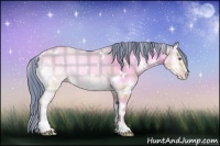 Horse Color:Watercolor Plaid White Spotted Sable Champagne Chinchilla Onyx Sabino