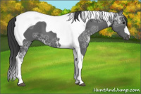 Horse Color:Black Ice Tobiano