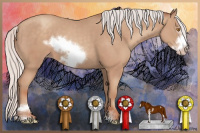 Horse Color:Silver Classic Champagne Sabino Frame