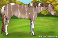 Horse Color:Chestnut Ice Sabino Tobiano 