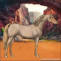 Horse Color:Red Roan 