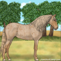 Horse Color:Red Roan 