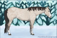 Horse Color:Bay Ice Roan Dun Splash 