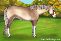 Horse Color:Silver Bay Roan Onyx Splash 