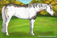 Horse Color:Silver Blue Onyx Splash Frame 