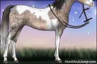 Horse Color:Plaid  Brown Ice Splash Tobiano Rabicano 