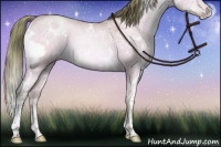 Horse Color:Watercolor White Spotted Brown Ice Pearl Dun Sabino Rabicano Brindle 
