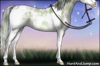 Horse Color:Watercolor Liver Chestnut Ice Splash Tobiano Rabicano 