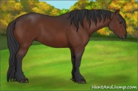 Horse Color:Brown 