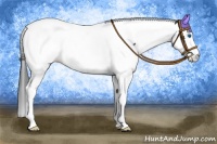 Horse Color:Black Splash Tobiano Appaloosa 
