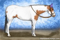 Horse Color:Bay Tobiano Frame 