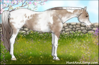 Horse Color:White Spotted Classic Champagne Tobiano Blanket