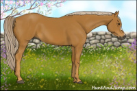Horse Color:Gray Palomino 