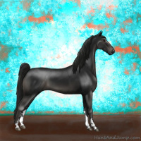Horse Color:Gray Black Sabino