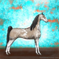 Horse Color:Brown Dun Sabino