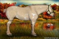 Horse Color:White Spotted Chocolate Palomino Dun 